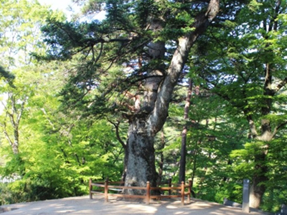 학사대